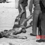 Dead Veit Kong soldiers