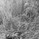 Dead Veit Kong soldiers