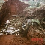 Dead Veit Kong soldiers