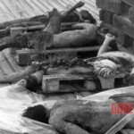 Dead Veit Kong soldiers