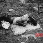 Dead Veit Kong soldiers