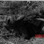 Dead Veit Kong soldiers