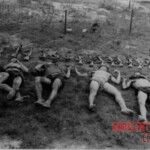 Dead Veit Kong soldiers