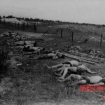 Dead Veit Kong soldiers