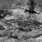 Dead Veit Kong soldiers