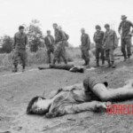 Dead Veit Kong soldiers