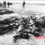 Dead Veit Kong soldiers