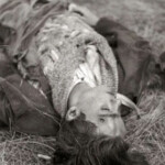 Victims of Spanish Civil War