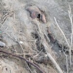 Man's dead body found washed up by river