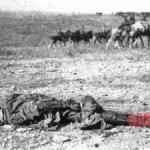 Massacre of Monte Arruit