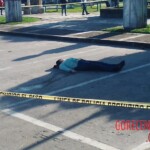 Viridiana Berron Molina