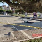 Viridiana Berron Molina