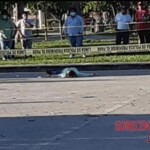 Viridiana Berron Molina