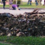 Viridiana Berron Molina