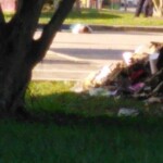 Viridiana Berron Molina