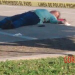 Viridiana Berron Molina