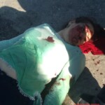 Viridiana Berron Molina