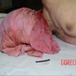 Murdered and stuffed in suitcase