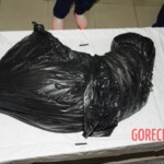 Murdered and stuffed in suitcase