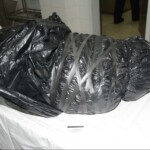 Murdered and stuffed in suitcase