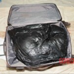 Murdered and stuffed in suitcase