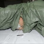 Murdered and stuffed in suitcase