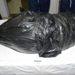 Murdered and stuffed in suitcase