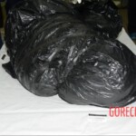 Murdered and stuffed in suitcase