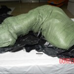 Murdered and stuffed in suitcase