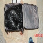 Murdered and stuffed in suitcase