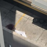 OnlyFans model fell from balcony during group sex filming