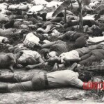 People's temple cult mass suicide