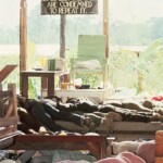 People's temple cult mass suicide