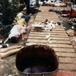 People's temple cult mass suicide