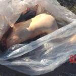 Strangled woman found in plastic bag