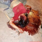 Tragic end of drunken motorcycle crash