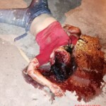 Tragic end of drunken motorcycle crash