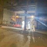 Two young carjackers shot dead