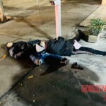 Two young carjackers shot dead