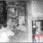 Uiryeong Massacre