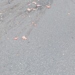 University student crushed by truck