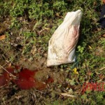 Woman's decapitated body found dumped by roadside in plastic bags