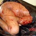 Woman's decapitated body found dumped by roadside in plastic bags