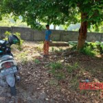 Young Indonesian hanged himself from tree