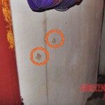 25-year-old woman assassinated in her house