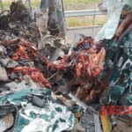 9 Romanians killed in minibus accident in Hungary