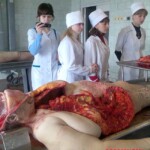 Anatomical autopsy for young medics