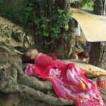 Gabriela Silva Santos