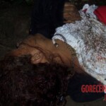 Renata Keli Pedreira dos Santos