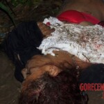 Renata Keli Pedreira dos Santos